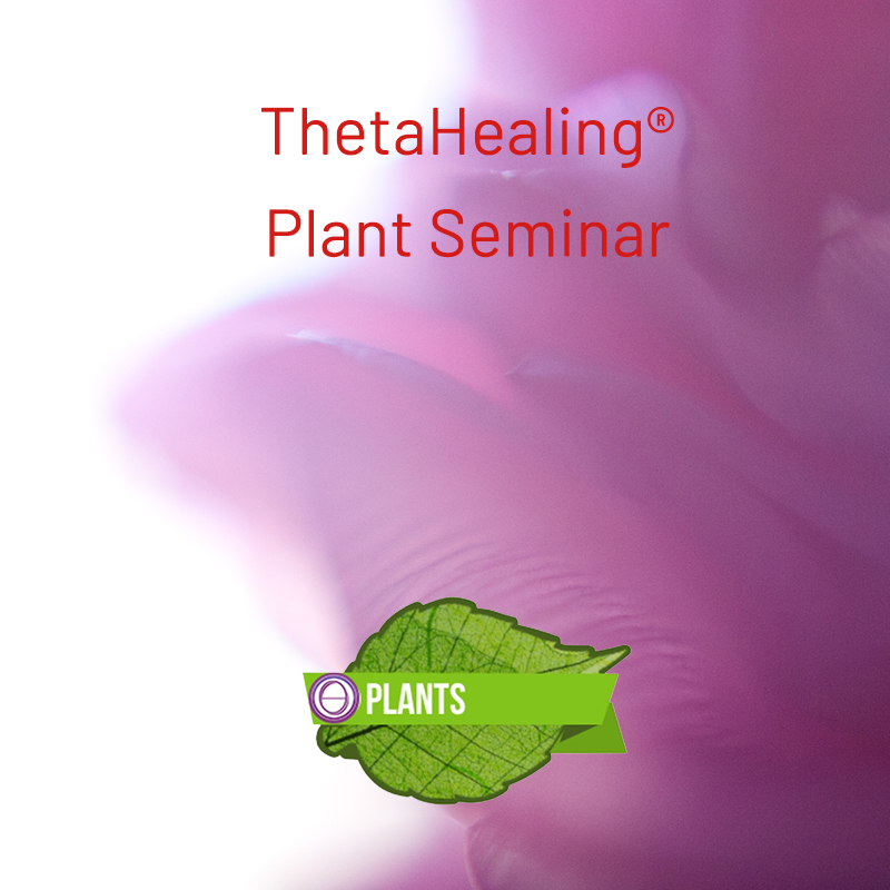 ThetaHealing® Pflanzenseminar